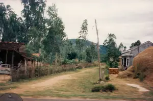 Bức ảnh chụp một khung cảnh nông thôn ở Việt Nam, có thể là khu vực Quảng Ngãi hoặc Bình Định, với một con đường đất chạy giữa. Bên trái là một ngôi nhà cấp 4 truyền thống, lợp mái ngói, có hàng rào thô sơ bằng cây. Trên tường nhà có một tấm bảng màu trắng có chữ nhưng không thể đọc được do hình ảnh bị mờ. Bên phải là một ngôi nhà khác được xây bằng xi măng, chưa sơn. Ngay cạnh ngôi nhà này là một đống rơm rất lớn, một hình ảnh quen thuộc trong nông nghiệp. Xung quanh có nhiều cây cao, mảnh khảnh, có thể là cây bạch đàn hoặc phi lao. Phía xa là những ngọn núi. Gần đống rơm có một miếu thờ nhỏ hoặc chuồng chim bằng gỗ đặt trên cột. Khung cảnh tĩnh lặng, không có hoạt động rõ rệt của con người, phản ánh cuộc sống yên bình ở làng quê.。（日本語訳）。写真はベトナムの田舎の風景を写したもので、おそらくクアンガイ省かビンディン省の地域で、真ん中を土の道が走っています。左側には、瓦屋根の伝統的な平屋があり、木で作られた簡素な柵があります。家の壁には文字が書かれた白い看板がありますが、画像がぼやけているため読むことはできません。右側には、セメントで建てられた未塗装の別の家があります。この家のすぐ隣には非常に大きな稲わらの山があり、農業ではおなじみの光景です。周りには、ユーカリかモクマオウと思われる、背が高く細い木がたくさんあります。遠くには山々があります。稲わらの山の近くには、柱の上に置かれた木製の小さな祠または鳥小屋があります。人の明確な活動は見られず、静かな光景は、村の平和な生活を反映しています。