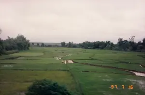 Góc dưới bên phải của hình ảnh có dấu ngày tháng '97 7 16'. Bức ảnh chụp một khung cảnh nông thôn rộng lớn ở Việt Nam vào một ngày trời nhiều mây. Địa điểm chính là một cánh đồng lúa xanh mướt, được chia thành nhiều thửa ruộng bởi những bờ đất. Một số thửa ruộng ngập nước, phản chiếu bầu trời xám. Ở giữa cánh đồng, có một người nông dân đang đội nón lá, khom lưng làm việc trên ruộng. Hoạt động này có thể là cấy lúa hoặc làm cỏ. Xung quanh cánh đồng là những lùm cây và cây cối rậm rạp. Tổng thể, bức ảnh ghi lại một khoảnh khắc yên bình của lao động nông nghiệp trên một cánh đồng lúa đặc trưng của Việt Nam vào năm 1997.。（日本語訳）。画像の右下隅には「'97 7 16」という日付スタンプがあります。この写真は、曇りの日のベトナムの広大な田園風景を撮影したものです。主な場所は青々とした水田で、土手によって多くの区画に分けられています。いくつかの田んぼは水が張られており、灰色の空を映しています。田んぼの中央には、ノンラーをかぶった農民が一人、腰をかがめて田んぼで作業をしています。この作業は田植えか草取りの可能性があります。田んぼの周りには、茂みや鬱蒼とした木々があります。全体として、この写真は1997年のベトナムの典型的な水田での、農作業の穏やかな瞬間を記録しています。