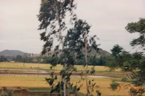 Trong ảnh có dấu ngày tháng "97 7 16". Bức ảnh ghi lại một khung cảnh nông thôn yên bình, đặc trưng của Việt Nam. Địa điểm là một cánh đồng lúa rộng lớn trải dài đến chân những ngọn đồi ở phía xa. Một phần cánh đồng là những thửa ruộng lúa đã chín vàng, báo hiệu mùa thu hoạch, trong khi những phần khác lại ngập nước, có thể đang trong giai đoạn chuẩn bị cho vụ gieo cấy mới. Rải rác trên cánh đồng có thể thấy một vài bóng người, có lẽ là những người nông dân đang cần mẫn làm việc đồng áng. Xen giữa cánh đồng là những cột điện. Ở phía trước, một cái cây lớn bị nhòe do chuyển động, cho thấy bức ảnh được chụp từ một phương tiện đang di chuyển. Bầu trời có mây, mang màu xám nhạt.。（日本語訳）。写真には「97 7 16」という日付スタンプがあります。この写真は、ベトナム特有ののどかな田園風景を捉えています。場所は、遠くの丘の麓まで広がる広大な水田です。田んぼの一部は黄金色に実った稲穂で、収穫の時期を告げています。一方、他の部分は水が張られており、おそらく新しい田植えの準備段階にあるのでしょう。田んぼには、農作業に勤しむ農家の人々と思われる人影がいくつか点在しているのが見えます。田んぼの中に電柱が点在しています。前景には、大きな木が動きによってブレており、写真が移動中の乗り物から撮影されたことを示しています。空は曇っており、薄い灰色をしています。