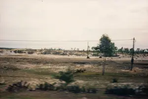 Bức ảnh chụp một cảnh quan nông thôn, có thể là ở vùng ven biển, được chụp từ một phương tiện đang di chuyển nên hình ảnh ở tiền cảnh bị mờ. Phong cảnh chủ yếu là một vùng đất trống, khô cằn với đất cát. Ở phía xa có những đồi cát nhỏ và một hàng cây, có thể là cây phi lao thường thấy ở các vùng duyên hải miền Trung. Có các cột điện bằng gỗ và đường dây điện chạy ngang qua khung hình. Cây cối thưa thớt, chỉ có vài bụi cây và một cây lớn hơn bị mờ do chuyển động. Không có người hay hoạt động cụ thể nào được nhìn thấy. Không có bất kỳ thông tin văn bản nào như biển báo hay bảng hiệu.。（日本語訳）。写真は田舎の風景を写しており、おそらく沿岸地域のもので、移動中の乗り物から撮影されたため、前景の画像はぼやけています。風景は主に、砂地の広がる乾燥した不毛の地です。遠くには小さな砂丘と一列の木々があり、おそらく中部沿岸地域でよく見られるモクマオウでしょう。木製の電柱と電線がフレームを横切っています。木々はまばらで、いくつかの茂みと、動きによってぼやけた一本の大きな木があるだけです。人や特定の活動は見られません。標識や看板のような文字情報も一切ありません。