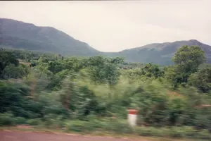 Bức ảnh được chụp từ một phương tiện đang di chuyển, ghi lại cảnh quan vùng đồi núi ở nông thôn. Do hiệu ứng mờ của chuyển động, tiền cảnh cho thấy các bụi cây xanh ven đường và một phần của con đường. Một cọc tiêu sơn hai màu đỏ và trắng, đặc trưng cho các tuyến đường ở Việt Nam, có thể được nhìn thấy nhưng không thể đọc được chữ số. Phía sau là một thảm thực vật xanh tươi và rậm rạp. Ở phía xa là những dãy núi trập trùng dưới bầu trời u ám.。（日本語訳）。写真は移動中の乗り物から撮影されたもので、田舎の丘陵地帯の風景を記録しています。動きによるブレの効果のため、前景には道端の緑の茂みと道路の一部が見えます。ベトナムの道路に特徴的な、赤と白の二色で塗られたキロポストが見えますが、数字は読み取れません。その後ろには青々とした鬱蒼とした植生が広がっています。遠くには、曇り空の下に山々が連なっています。