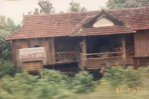 Trong ảnh là một ngôi nhà sàn bằng gỗ đặc trưng của vùng Tây Nguyên, có thể là ở khu vực Kon Tum. Ngôi nhà được xây dựng trên các cột trụ cao, với phần thân nhà và sàn hoàn toàn bằng gỗ. Mái nhà được lợp bằng ngói đất nung màu đỏ. Phía trước có một hiên nhà với lan can gỗ được trang trí hoa văn hình nan quạt. Bên hông nhà có một cấu trúc phụ nhỏ bằng gỗ, có thể là kho thóc hoặc công trình phụ khác. Xung quanh nhà là cây cối và thảm thực vật xanh tốt. Phần tiền cảnh của bức ảnh bị mờ do chuyển động, cho thấy ảnh được chụp từ một phương tiện đang di chuyển. Ở góc dưới bên phải có dấu ngày tháng '97 7 17'.。（日本語訳）。写真に写っているのは、西部高原地方特有の木造高床式住居で、おそらくコントゥム地方のものでしょう。この家は高い柱の上に建てられており、家屋本体と床は完全に木でできています。屋根は赤い素焼きの瓦で葺かれています。前面にはベランダがあり、扇形の模様で装飾された木製の手すりが付いています。家の側面には小さな木造の付属建造物があり、穀物倉か他の付属施設かもしれません。家の周りは木々や青々とした植生に囲まれています。写真の前景部分は動きによってぼやけており、移動中の乗り物から撮影されたことを示しています。右下隅には「'97 7 17」という日付の印があります。