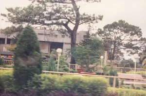 Bức ảnh ghi lại một khung cảnh đường phố, có vẻ như được chụp từ một phương tiện đang di chuyển. Ở hậu cảnh là một tòa nhà bê tông lớn với dòng chữ màu đỏ "KHÁCH SẠN PLEIKU" ở mặt tiền. Phía trước tòa nhà là một không gian công cộng hoặc dải phân cách có trồng nhiều cây xanh, bao gồm những cây thông lớn đặc trưng và các loại cây cảnh, bụi cây được cắt tỉa. Có thể nhìn thấy các cột đèn đường hình cầu màu trắng và một hàng rào. Một tấm biển khác cũng xuất hiện ở phía bên phải nhưng chữ bị mờ và chỉ đọc được một phần là "...H TỊNH". Không có hoạt động cụ thể nào của con người được thể hiện rõ trong ảnh.。（日本語訳）。この写真は街の風景を捉えたもので、移動中の乗り物から撮影されたようです。背景には大きなコンクリートの建物があり、その正面には赤い文字で「KHÁCH SẠN PLEIKU」と書かれています。建物の前には公共スペースか中央分離帯があり、特徴的な大きな松の木や、手入れされた観賞植物、低木など、多くの緑が植えられています。白い球形の街灯と柵が見えます。右側にも別の看板が見えますが、文字がぼやけており、「...H TỊNH」という部分しか読み取れません。写真には、特定の人間活動がはっきりと写ってはいません。