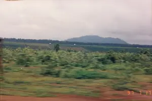 Trên ảnh có dấu ngày tháng màu cam '97 7 17'. Bức ảnh này chụp một khung cảnh nông thôn rộng lớn, có khả năng là ở vùng Tây Nguyên như Kon Tum, được chụp từ một phương tiện đang di chuyển. Tiền cảnh bị mờ do chuyển động, cho thấy một phần con đường đất đỏ và cây cỏ ven đường. Ở trung cảnh là những cánh đồng nông nghiệp bạt ngàn, có thể là đồn điền trồng cây công nghiệp như cà phê hoặc cao su còn non, được trồng thành hàng thẳng tắp. Trên các sườn đồi, có thể thấy một vài công trình nhỏ màu trắng, có lẽ là lán trại hoặc nhà ở của nông dân. Hậu cảnh là một dải rừng cây và một dãy núi lớn ẩn hiện dưới bầu trời u ám, đầy mây. Toàn bộ khung cảnh toát lên vẻ yên bình của một vùng đất đang được canh tác và phát triển nông nghiệp.。（日本語訳）。写真にはオレンジ色の「'97 7 17」という日付スタンプがある。この写真は、おそらくコントゥムのような西部の高原地帯で、移動中の乗り物から撮影された広大な田園風景を捉えている。中景には広大な農地が広がり、おそらくコーヒーや若いゴムの木のような経済作物がまっすぐな列に植えられたプランテーションであろう。背景には、曇り空の下にぼんやりと現れる森と大きな山脈がある。全体の風景は、耕作され農業が発展している土地の平和な雰囲気を醸し出している。