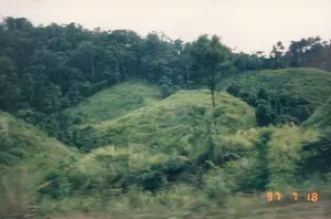 Bức ảnh chụp một cảnh quan thiên nhiên, có dấu ngày tháng "97 7 18" ở góc dưới bên phải. Trung tâm của bức ảnh là một cụm đá lớn, hùng vĩ với hình thù độc đáo, trông như nhiều tảng đá khổng lồ được xếp chồng lên nhau. Xung quanh chân cụm đá là cây cối và bụi rậm xanh tươi, um tùm. Bầu trời phía sau có màu trắng đục, có thể là do thời tiết nhiều mây. Không có người hay hoạt động nào rõ ràng được ghi lại, khung cảnh mang vẻ tĩnh lặng của thiên nhiên.。（日本語訳）。右下に「97 7 18」という日付スタンプがある、自然風景を撮影した写真です。写真の中央には、巨大な岩がいくつも積み重なったような、ユニークな形をした雄大で大きな岩群があります。岩群の麓の周りには、青々とした木々や茂みが鬱蒼と生い茂っています。背景の空は白く濁っており、曇り空のためかもしれません。はっきりとした人や活動は写っておらず、その光景は自然の静けさを感じさせます。