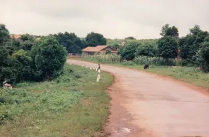 Đây là một khung cảnh nông thôn điển hình ở Việt Nam. Một con đường nhựa nhỏ, cũ kỹ uốn lượn qua vùng quê. Dọc theo khúc cua của con đường có cắm các cọc tiêu sơn trắng để phân định lề đường. Một cậu bé đang ngồi trên một trong những cọc tiêu này. Ở phía xa hơn trên lề đường bên phải, một con trâu đang thong thả gặm cỏ. Hai bên đường là thảm cỏ và cây cối xanh tươi. Phía sau là những ngôi nhà cấp bốn lợp ngói đỏ, nằm xen lẫn giữa những lùm cây và một ruộng ngô (bắp). Ở phía bên trái, có một chiếc xe máy đang đậu gần bụi cây. Bầu trời u ám, cho thấy một ngày không có nắng. Toàn bộ khung cảnh toát lên vẻ yên bình của một vùng nông thôn.。（日本語訳）。これはベトナムの典型的な田舎の風景です。小さくて古いアスファルトの道が田舎を蛇行しています。道のカーブに沿って、路肩を区切るために白いポールが立てられています。一人の少年がこれらのポールの一つに座っています。右側の路肩のさらに先では、一頭の水牛がのんびりと草を食べています。道の両側には緑豊かな草と木々が広がっています。後方には、赤い瓦屋根の平屋が、木々の茂みやトウモロコシ（bắp）畑の間に点在しています。左側には、茂みの近くに一台のバイクが停まっています。空は曇っており、晴れていない日であることを示しています。全ての風景が田舎の穏やかな雰囲気を醸し出しています。