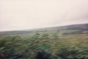 Bức ảnh được chụp từ một phương tiện đang di chuyển, dẫn đến hình ảnh bị mờ nhòe do chuyển động. Ở tiền cảnh, có thể thấy các lùm cây và thảm thực vật ven đường lướt qua nhanh chóng. Ở phía sau, trải dài ra đến tận chân trời là một khung cảnh nông thôn rộng lớn. Phong cảnh này bao gồm những ngọn đồi thoai thoải, những cánh đồng xanh và đất nông nghiệp. Bầu trời u ám và có màu trắng đục. Không có bất kỳ văn bản, biển báo hay hoạt động cụ thể nào của con người có thể được nhìn thấy rõ ràng do chất lượng ảnh và khoảng cách.。（日本語訳）。写真は移動中の乗り物から撮影されたため、モーションブラーで画像がぼやけています。前景には、道端の茂みや植生が素早く通り過ぎていくのが見えます。背景には、広大な田園風景が地平線まで広がっています。この風景には、なだらかな丘、緑の野原、農地が含まれています。空は曇っており、乳白色です。写真の画質と距離のため、文字、標識、または特定の人間活動ははっきりと見えません。