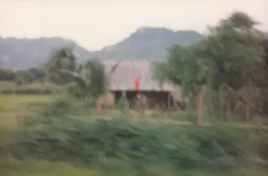 Bức ảnh mờ, có vẻ được chụp từ một phương tiện đang di chuyển, ghi lại một khung cảnh nông thôn ở Việt Nam. Ở trung tâm bức ảnh là một ngôi nhà một tầng, có thể là nhà tranh vách đất, với mái lợp lá. Một lá cờ đỏ sao vàng của Việt Nam được treo ở phía trước hoặc trên mái nhà. Ngôi nhà được bao quanh bởi cây cối xanh tươi. Ở phía sau là những dãy núi mờ ảo. Tiền cảnh là thảm thực vật màu xanh lá cây bị mờ nhòe do chuyển động. Không có hoạt động cụ thể nào của con người được nhìn thấy rõ, chỉ có một khung cảnh tĩnh lặng của vùng quê.。（日本語訳）。ぼやけた写真は、移動中の乗り物から撮影されたようで、ベトナムの田舎の風景を捉えています。写真の中央には、葉葺き屋根の一階建ての家があり、土壁の家かもしれません。ベトナムの金星紅旗が、家の前または屋根の上に掲げられています。その家は青々とした木々に囲まれています。後ろには、ぼんやりとした山並みが見えます。前景には、動きによってぼやけた緑の草木があります。人間の具体的な活動ははっきりと見えず、ただ田舎の静かな風景が広がっています。