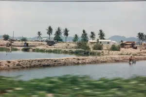 Bức ảnh ghi lại một khung cảnh ở vùng ven biển Việt Nam, đặc trưng bởi các đầm nuôi trồng thủy sản. Nhiều ao nước hình chữ nhật được phân chia bởi các bờ đất cát. Dọc theo các bờ đầm là những hàng cây dừa và một vài bụi cây nhỏ. Ở hậu cảnh, có thể thấy một vài ngôi nhà cấp bốn lợp mái tôn hoặc ngói và những căn chòi gỗ đơn sơ, có thể là nơi ở hoặc lán canh của người dân. Phía xa là những dãy núi mờ ảo. Ở phía bên phải của một ao nước, một người đang ngồi trên tấm ván gỗ bắc qua mặt nước, dường như đang thực hiện một công việc liên quan đến ao nuôi như câu cá hoặc cho tôm/cá ăn. Phần tiền cảnh của bức ảnh bị mờ do chuyển động, cho thấy nó được chụp từ một phương tiện đang di chuyển. Không có văn bản hay biển hiệu nào có thể nhận dạng được.。（日本語訳）。この写真はベトナムの沿岸地域の風景を記録したもので、水産養殖池が特徴です。多くの長方形の池が、砂地の土手によって区切られています。池の土手に沿って、ココナッツの木々が列をなし、いくつかの小さな茂みがあります。背景には、トタン屋根または瓦屋根の平屋が数軒と、簡素な木造の小屋が見えます。それらは人々の住居か見張り小屋である可能性があります。遠くには、ぼんやりとした山々が連なっています。ある池の右側では、一人の人物が水面に渡された木の板の上に座っており、魚を釣ったり、エビや魚に餌をやったりするなど、養殖池に関連する作業をしているようです。写真の前景部分は動きによってぼやけており、移動中の乗り物から撮影されたことを示しています。認識できる文字や看板はありません。