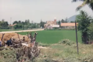 Bức ảnh chụp một khung cảnh nông thôn yên bình ở Việt Nam. Ở phía xa, nổi bật là một nhà thờ Công giáo với mái ngói màu cam và một tháp chuông có mái vòm. Bên cạnh nhà thờ là một tòa nhà khác cũng có mái ngói tương tự. Phía sau các công trình này là dãy núi mờ và cây cối. Trải rộng ở giữa bức ảnh là một cánh đồng lúa xanh mướt, được ngăn cách với khu vực nhà thờ bởi một con đường đất. Ở phía trước bên trái, có một đống rơm lớn và một hàng rào làm từ cành cây khô. Một người mặc đồ sẫm màu đang ở gần đống rơm, có thể đang làm công việc đồng áng. Không có văn bản hay chữ viết nào có thể đọc được trong ảnh.。（日本語訳）。写真はベトナムののどかな田園風景を写しています。遠方には、オレンジ色の瓦屋根とドーム型の屋根を持つ鐘楼があるカトリック教会が際立っています。教会の隣には、同様の瓦屋根を持つ別の建物があります。写真の中央には青々とした水田が広がっており、未舗装の道によって教会の区域と隔てられています。左手前には、大きな藁の山と枯れ枝で作られた柵があります。暗い色の服を着た一人の人物が藁の山の近くにおり、農作業をしている可能性があります。写真の中には、読み取れるテキストや文字はありません。