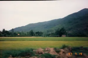 Thông tin văn bản được ghi lại trên ảnh là "97 7 19".。Bức ảnh chụp một phong cảnh nông thôn ở Việt Nam. Ở trung tâm và tiền cảnh là một cánh đồng lúa rộng lớn. Lúa trên đồng có cả màu xanh và màu vàng úa, cho thấy lúa đang trong giai đoạn phát triển hoặc sắp đến mùa thu hoạch. Ở phía xa, sau cánh đồng lúa là một hàng cây xanh và một vài ngôi nhà nhỏ, đơn sơ. Phía sau cùng là một dãy núi lớn được bao phủ bởi cây cối rậm rạp. Bầu trời có mây và khá u ám. Phần dưới cùng của bức ảnh bị mờ, có thể do được chụp từ một phương tiện đang di chuyển.。（日本語訳）。写真に記録されているテキスト情報は「97 7 19」です。この写真はベトナムの田園風景を撮影したものです。中央と前景には広大な水田が広がっています。田んぼの稲は緑色と黄色がかった色の両方があり、稲が成長段階にあるか、収穫期が近づいていることを示しています。遠く、水田の後ろには、緑の木々の列と、いくつかの小さく簡素な家があります。一番奥には、鬱蒼とした木々に覆われた大きな山脈があります。空は曇っており、かなり薄暗いです。写真の最下部はぼやけており、移動中の乗り物から撮影された可能性があります。