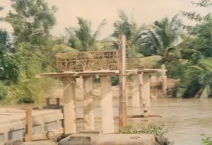 写真は、ある農村地域で建設途中の橋の工事現場を記録したものです。このコンクリートの橋は、沖積土で茶色く濁った川または水路にかかっています。川の中央には、多くのコンクリート製の橋脚が建てられています。橋脚の上部には鉄筋かごが設置されており、桁または橋床を打設する準備段階にあることがわかります。手前には、はしけまたは大型の船の一部が見え、建設工事のために使用されている可能性があります。川の両岸には、メコンデルタの水郷地帯に特徴的な、多くのココナッツの木々が生い茂る風景が広がっています。写真の中には、読み取れる文字や看板はありません