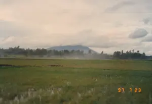 Bức ảnh ghi lại phong cảnh một vùng nông thôn ở Việt Nam, được chụp vào ngày 23 tháng 7 năm 1997, như được chỉ ra bởi dấu ngày tháng kỹ thuật số màu cam '97 7 23' ở góc dưới bên phải. Khung cảnh chủ đạo là một cánh đồng lúa xanh rộng lớn, có những khoảng ngập nước. Ở phía xa, sau một hàng cây là một ngọn núi lớn, đỉnh núi bị mây che phủ một phần. Bầu trời u ám và đầy mây. Có một lớp sương mù mỏng hoặc khói bay lơ lửng trên cánh đồng, tạo nên một không gian mờ ảo. Hình ảnh hơi nhòe cho thấy nó có thể được chụp từ một phương tiện đang di chuyển.。（日本語訳）。この写真はベトナムの田舎の風景を記録したもので、右下隅にあるオレンジ色のデジタル日付スタンプ「'97 7 23」が示すように、1997年7月23日に撮影されました。主な風景は、水が張られた部分もある、広大な緑の水田です。遠方には、木々の列の後ろに大きな山があり、その山頂は部分的に雲に覆われています。空は薄暗く、雲でいっぱいです。畑の上には薄い霧か煙が漂っており、幻想的な空間を作り出しています。画像が少しぼやけていることは、移動中の乗り物から撮影された可能性を示唆しています。