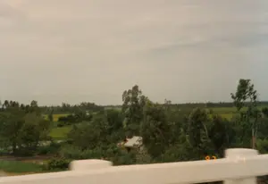 Bức ảnh ghi lại một khung cảnh nông thôn điển hình ở Việt Nam, được chụp từ trên một cây cầu hoặc một phương tiện đang di chuyển. Ở tiền cảnh là lan can cầu bê tông màu trắng, trên đó có dấu ngày tháng kỹ thuật số màu cam '97 7 24', cho biết ảnh được chụp vào ngày 24 tháng 7 năm 1997. Phía sau lan can là một vùng quê trù phú với cây cối xanh um tùm. Xen lẫn giữa những tán cây là một ngôi nhà nhỏ có mái tôn màu sáng. Ở phía xa, trải dài đến tận chân trời là những cánh đồng lúa xanh mướt. Một phần của một con sông hoặc kênh rạch cũng có thể được nhìn thấy. Bầu trời u ám và đầy mây, tạo nên một không khí yên bình của vùng nông thôn.。（日本語訳）。この写真はベトナムの典型的な田園風景を捉えたもので、橋の上か移動中の乗り物から撮影されたものです。前景には白いコンクリート製の橋の欄干があり、その上にはオレンジ色のデジタル日付「'97 7 24」が記されており、写真が1997年7月24日に撮影されたことを示しています。欄干の後ろには、緑豊かな木々が生い茂る肥沃な田舎が広がっています。木々の間に、明るい色のトタン屋根の小さな家が点在しています。遠くには、地平線まで広がる青々とした水田があります。川または運河の一部も見ることができます。空はどんよりと曇っており、田舎の穏やかな雰囲気を醸し出しています。