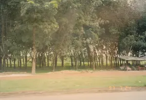 Trên ảnh có dấu ngày tháng '97 7 24'. Bối cảnh là một con đường đất đỏ ven một khu rừng cây, có khả năng là một đồn điền cao su với các cây được trồng thành hàng. Bên phải hình, dưới tán cây, có một quán nước ven đường được dựng tạm với mái che bằng bạt. Tại quán, có một người đang nằm nghỉ trên một chiếc võng. Xung quanh có một vài chiếc ghế bố và bàn ghế đơn sơ, cho thấy đây là một điểm dừng chân để nghỉ ngơi và giải khát cho khách đi đường.。（日本語訳）。写真には「'97 7 24」という日付のスタンプがあります。背景は、木々の森のそばにある一本の赤土の道で、おそらく木々が列をなして植えられているゴム農園でしょう。写真の右側、木陰には、防水シートで屋根が作られた簡易的な道端の茶店があります。その店では、一人の人がハンモックで横になって休んでいます。周りにはいくつかのデッキチェアと簡素なテーブルと椅子があり、ここが通行人のための休憩や喉の渇きを癒すための立ち寄り所であることを示しています。