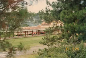 Trong ảnh có dấu ngày tháng màu vàng '97 7 25'.。Bối cảnh là một nhà ga xe lửa, rất có thể là Ga Đà Lạt, được nhìn qua những tán cây thông. Một đoàn tàu khách với các toa sơn màu trắng và đỏ đang đỗ tại sân ga. Sân ga có mái che được chống đỡ bởi các cột trụ. Phía sau đoàn tàu là tòa nhà chính của nhà ga, một công trình kiến trúc cổ với mái ngói và nhiều cửa sổ. Xung quanh nhà ga là một khoảng sân cỏ và rất nhiều cây thông, là loại cây đặc trưng của khu vực này. Ở phía xa, có một làn khói nhỏ bốc lên từ phía sau nhà ga. Khung cảnh tĩnh lặng, không có hoạt động rõ rệt nào của con người.。（日本語訳）。写真には「'97 7 25」という黄色い日付スタンプがあります。白と赤に塗装された客車を持つ旅客列車がプラットフォームに停車しています。プラットフォームには柱で支えられた屋根があります。列車の後ろには、瓦屋根と多くの窓を持つ古い建築物である駅の本館があります。駅の周りには芝生の広場と、この地域特有の木である松の木がたくさんあります。遠くでは、駅舎の後ろから小さな煙が立ち上っています。景色は静かで、はっきりとした人の活動は見られません。