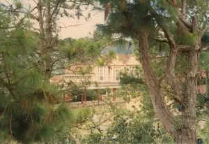 Bức ảnh ghi lại quang cảnh Ga Đà Lạt, được chụp từ xa qua những tán cây thông. Trên mặt tiền của tòa nhà chính có thể đọc được dòng chữ "DALAT". Công trình này nổi bật với kiến trúc cổ, tường sơn màu vàng, mái ngói đỏ và có nhiều cửa sổ. Phía trước nhà ga là một khu vực có mái che với các cột trụ. Khung cảnh ở tiền cảnh bị che khuất một phần bởi các cành và lá thông rậm rạp, một loài cây đặc trưng của khu vực này. Không có hoạt động nào của con người được quan sát, tạo nên một bầu không khí yên bình và tĩnh lặng.。（日本語訳）。写真は、松の木々の間から遠くに撮影されたダラット駅の光景を捉えたものです。本館のファサードには「DALAT」という文字が読み取れます。この建物は、古い建築様式、黄色く塗られた壁、赤い瓦屋根、そして多くの窓が特徴です。駅舎の前には、柱のある屋根付きのエリアがあります。前景の光景は、この地域の代表的な樹木である、生い茂る松の枝葉によって部分的に遮られています。人の活動は見られず、平和で静かな雰囲気を醸し出しています。