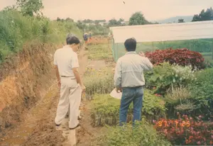 Bức ảnh chụp tại một vườn ươm cây giống hoặc trang trại nông nghiệp, có thể ở vùng cao nguyên như Đà Lạt, vào ngày 25 tháng 7 năm 1997, như được chỉ ra bởi dấu ngày tháng '97 7 25' ở góc dưới bên phải. Khung cảnh cho thấy một con đường đất lầy lội chạy dọc theo một sườn đồi, hai bên là các luống cây trồng. Ở tiền cảnh, hai người đàn ông đang đứng trên con đường, có vẻ như đang thị sát vườn cây. Người đàn ông bên trái mặc áo polo trắng và quần sáng màu, trong khi người đàn ông bên phải mặc áo khoác và quần jean, tay cầm giấy và đang chỉ về phía các luống cây. Xung quanh họ là rất nhiều loại cây, bao gồm các cây con được ươm trong bầu đất màu đen và các loại hoa nhiều màu sắc như đỏ, trắng và vàng. Một nhà lưới có mái che màu trắng được dựng lên để bảo vệ cây trồng. Ở phía sau, có thể thấy một vài người nông dân đội nón lá đang làm việc trên đồng. Con đường lầy lội và những tấm ván được đặt tạm để đi lại cho thấy có thể trời vừa mưa.。（日本語訳）。写真は、右下隅にある「'97 7 25」の日付スタンプが示すように、1997年7月25日に、ダラットのような高原地帯にあるかもしれない苗床または農場で撮影されたものです。風景は、丘の斜面に沿って走るぬかるんだ土の道を示しており、両側には作物の畝があります。前景には、二人の男性が道の上に立っており、畑を視察しているように見えます。左側の男性は白いポロシャツと明るい色のズボンを履いており、一方、右側の男性はジャケットとジーンズを履き、手に紙を持ち、作物の畝の方を指さしています。彼らの周りには非常に多くの種類の植物があり、黒い育苗ポットで育てられている苗木や、赤、白、黄色などの色とりどりの花々が含まれます。作物を保護するために、白い屋根のネットハウスが建てられています。後方には、ノンラーをかぶった数人の農民が畑で作業しているのが見えます。ぬかるんだ道と、歩行のために仮に置かれた板は、雨が降ったばかりである可能性を示しています。