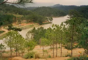 Dấu ngày tháng màu vàng ở góc dưới bên phải của bức ảnh ghi: '97 7 25'.。Bức ảnh chụp một khung cảnh thiên nhiên rộng lớn tại một hồ nước ở vùng cao nguyên, có khả năng là Đà Lạt. Địa điểm này là một hồ nước lớn, có thể là hồ chứa nước, với mặt nước phẳng lặng màu nâu đục. Bao quanh hồ là những ngọn đồi được bao phủ bởi rừng thông bạt ngàn, một loài cây đặc trưng của khu vực. Đất đai có màu nâu đỏ. Ở bờ hồ phía xa, có một khu vực trông giống như một công viên nhỏ hoặc điểm dừng chân với các lối đi bộ và một công trình kiến trúc nhỏ màu trắng, mái đỏ. Có thể thấy một vài bóng người rất nhỏ đang đi dạo trong khu vực này, cho thấy đây là một địa điểm tham quan, nghỉ dưỡng. Tiền cảnh của bức ảnh là sườn đồi với nhiều cây thông, bụi rậm và một vài bông hoa.。（日本語訳）。写真の右下隅にある黄色い日付スタンプには「'97 7 25」と記されている。この写真は、高原地帯にある湖の広大な自然風景を写しており、おそらくダラットであろう。この場所は大きな湖で、貯水池かもしれない。水面は穏やかで濁った茶色をしている。湖の周りは、この地域特有の樹木である広大な松林に覆われた丘である。土地は赤褐色である。遠くの湖岸には、遊歩道と、白い壁に赤い屋根の小さな建造物がある、小さな公園か休憩所のような場所がある。このエリアを散歩しているいくつかの非常に小さな人影が見え、ここが観光地や保養地であることを示している。写真の前景は、多くの松の木、低木、そしていくつかの花がある丘の斜面である。