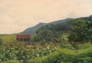 Bức ảnh chụp một khung cảnh nông thôn miền núi, có khả năng được chụp từ một phương tiện đang di chuyển. Ở phía sau là những dãy núi trập trùng được bao phủ bởi cây cối rậm rạp dưới bầu trời nhiều mây. Nổi bật ở giữa khung cảnh là một công trình thủy lợi, có thể là một đập nước hoặc cống xả lũ, với các cửa cống lớn màu nâu đỏ. Xung quanh công trình là thảm thực vật xanh tươi. Ở tiền cảnh là một cánh đồng ngô (bắp) đang phát triển. Không có văn bản hay hoạt động của con người nào được ghi lại trong ảnh.。（日本語訳）。写真は山間部の田舎の風景を写しており、移動中の乗り物から撮影された可能性があります。後方には、曇り空の下、鬱蒼とした木々に覆われた起伏のある山々が連なっています。風景の中央で際立っているのは水利施設で、おそらくダムか放水路であり、大きな赤褐色の水門があります。施設の周りには青々とした植物が茂っています。前景には、成長中のトウモロコシ（bắp）畑があります。写真には文字や人間の活動は記録されていません。