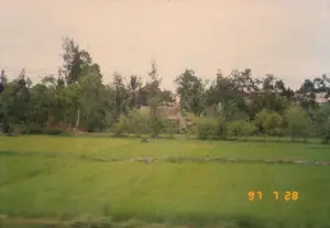 Bức ảnh ghi lại một khung cảnh nông thôn yên bình ở Việt Nam, có thể là ở khu vực Quảng Bình hoặc Quảng Trị. Ở tiền cảnh là một cánh đồng lúa xanh mướt, trải dài. Phía sau cánh đồng là một dãy cây cối um tùm, bao gồm cây dừa và các loại cây khác. Thấp thoáng sau lùm cây là một ngôi nhà nông thôn mái ngói. Phía trên hàng cây có thể thấy đường dây điện. Bầu trời có màu trắng đục, cho thấy một ngày nhiều mây. Ở góc dưới bên phải của ảnh có dấu ngày tháng màu cam '97 7 28'.。（日本語訳）。この写真はベトナムの、おそらくクアンビン省かクアンチ省の、のどかな田園風景を記録したものです。前景には、青々とした水田が広がっています。田んぼの後ろには、ココヤシやその他の木々を含む、生い茂った木々の列があります。木々の茂みの後ろには、瓦屋根の農家がちらりと見えます。木々の列の上には電線が見えます。空は乳白色で、曇りの日であることを示しています。写真の右下隅には、オレンジ色の日付スタンプ「'97 7 28」があります。