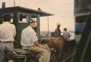 Bối cảnh là trên một chiếc phà đang vận chuyển hành khách, phương tiện và cả động vật qua một vùng nước như sông hoặc vịnh. Trên phà có nhiều người và phương tiện. Nổi bật ở phía trước là một người đàn ông đang ngồi trên chiếc xe máy hiệu Honda. Anh ta mặc áo sơ mi trắng, quần kaki, đội mũ lưỡi trai màu xanh có logo Nike và chữ Hán (có thể là '運動'). Bên cạnh xe máy là một con bò màu nâu đang đứng. Ở phía sau, có những người đàn ông khác, một người đội mũ bảo hộ màu vàng và một người đội mũ cối. Một phần của một chiếc xe lớn hơn, có thể là xe buýt, với sọc xanh và trắng, có thể được nhìn thấy ở phía bên phải. Chiếc phà có một buồng lái màu xanh lá cây. Cảnh tượng này cho thấy một phương thức vận tải phổ biến ở các vùng sông nước Việt Nam vào thời điểm đó, nơi phà là phương tiện thiết yếu để kết nối các bờ.。（日本語訳）。背景は、川や湾のような水域を渡って、乗客、乗り物、そして動物も輸送している一隻のフェリーの上です。フェリーの上には多くの人々や乗り物がいます。前方に目立っているのは、ホンダ製のバイクに座っている一人の男性です。彼は白いシャツ、カーキ色のズボンを履き、ナイキのロゴと漢字（おそらく「運動」）が入った青い野球帽をかぶっています。バイクの隣には、一頭の茶色い牛が立っています。後方には他の男性たちがおり、一人は黄色い安全ヘルメットをかぶり、もう一人はホー・チ・ミン帽をかぶっています。右側には、青と白のストライプが入った、より大きな乗り物（おそらくバス）の一部が見えます。フェリーには緑色の操舵室があります。この光景は、当時のベトナムの河川地域における一般的な交通手段を示しており、そこではフェリーが両岸を結ぶための不可欠な手段でした。