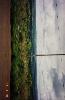 199707__/OMI_0754.JPG 622KB 