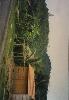 199707__/OMI_1287.JPG 686KB 