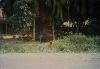 199707__/OMI_E1106.JPG 601KB 