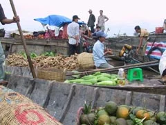 Đây là khung cảnh tấp nập tại một khu chợ nổi trên sông. Nhiều ghe, tàu gỗ chở đầy hàng hóa đang đậu san sát nhau để giao thương. Ở phía trước, một chiếc ghe bày bán các loại rau củ như bí xanh và các loại quả như đu đủ. Một người đàn ông mặc áo sơ mi xanh đang ngồi trên ghe này, bên cạnh là một chiếc ghế nhựa nhỏ và động cơ tàu. Một chiếc ghe khác ở bên cạnh chất đầy các loại củ, có thể là gừng hoặc riềng, đựng trong những chiếc giỏ tre lớn. Một người ở bên trái đang dùng một cây sào dài để điều khiển ghe. Ở phía sau, trên một chiếc ghe lớn hơn có che tấm bạt xanh, một nhóm người đang đứng, có thể đang trao đổi hoặc chờ mua hàng. Quang cảnh cho thấy hoạt động mua bán sôi nổi đặc trưng của vùng sông nước.。（日本語訳）。これは川の水上マーケットの賑やかな光景です。商品を満載した多くの小舟や木造船が、商売のために互いに密集して停泊しています。手前では、一艘の小舟が冬瓜のような野菜やパパイヤのような果物を並べて売っています。青いシャツを着た男性がこの小舟に座っており、その隣には小さなプラスチックの椅子と船のエンジンがあります。隣の別の小舟には、大きな竹籠に入れられた、おそらく生姜やガランガルと思われる根菜類が満載です。左側では、一人の人が長い竿を使って小舟を操っています。後方では、青いシートで覆われた大きな小舟の上に、数人のグループが立っており、おそらく商談をしているか、買い物を待っているようです。この光景は、水郷地帯特有の活発な売買活動を示しています。