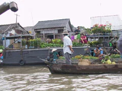 Chợ hoa nổi ngày Tết ở Cần Thơ（カントーのテトの水上花市）