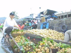 Chợ nổi Cái Răng（カイラン水上マーケット）