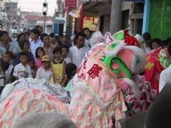 Một buổi biểu diễn múa lân đang diễn ra trên một con đường phố đông đúc, có thể là ở Cần Thơ trong dịp Tết. Ở trung tâm bức ảnh là một đội múa lân trong trang phục màu hồng và trắng. Trên thân của con lân có một chữ Hán màu vàng có thể đọc được là '勝' (Thắng). Một con lân khác cũng có thể được nhìn thấy ở phía trước. Rất đông người dân, bao gồm cả người lớn và trẻ em, đang tụ tập trên vỉa hè và lòng đường để xem màn trình diễn. Phía sau là cảnh đường phố với nhiều nhà cửa san sát và một cột đèn giao thông. Có các biển hiệu trên các tòa nhà nhưng không thể đọc rõ nội dung.。（日本語訳）。獅子舞の公演が、おそらくテト（旧正月）の時期のカントーの、混雑した路上で繰り広げられています。写真の中央には、ピンクと白の衣装をまとった獅子舞の一団がいます。獅子の胴体には、「勝」（Thắng）と読める黄色い漢字一文字があります。前方には、もう一体の獅子も見えます。大人も子供も含む大勢の人々が、歩道や車道に集まって公演を見ています。背景には、多くの家が密集し、信号機の柱がある街の風景が広がっています。建物には看板がありますが、その内容ははっきりと読み取れません。