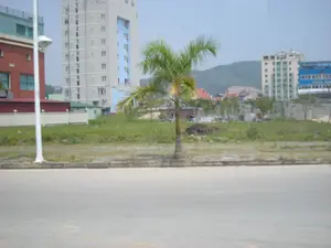 Bức ảnh chụp một khung cảnh đô thị ven đường. Ở phía trước là một con đường nhựa. Bên kia đường là một bãi đất trống có cỏ mọc và một cây cọ nhỏ. Bên trái có một cột đèn đường màu trắng. Ở hậu cảnh là nhiều tòa nhà cao tầng với các màu sắc và kiến trúc khác nhau, bao gồm một tòa nhà cao màu trắng với các mảng tường màu xanh lam, và một tòa nhà màu đỏ ở bên trái. Phía xa hơn có thể thấy một ngọn đồi. Một tòa nhà màu xanh lam ở phía xa bên phải có vẻ như có chữ viết trên đó, nhưng không thể đọc được. Không có người hay hoạt động cụ thể nào được ghi lại, cho thấy đây là một cảnh quan đô thị, có thể là một khu vực đang phát triển.。（日本語訳）。写真は道端の都市風景を写しています。手前にはアスファルトの道路があります。道路の向こう側には草が生えた空き地と小さなヤシの木が1本あります。左側には白い街灯が1本あります。背景には、様々な色や建築様式の高層ビルが多数あり、青い壁面を持つ白い高層ビルや、左側にある赤いビルなどが含まれます。さらに遠くには丘が見えます。右奥の青いビルには文字が書かれているようですが、読み取れません。人や特定の活動は記録されておらず、これが都市の景観であり、おそらく開発中の地域であることを示しています。