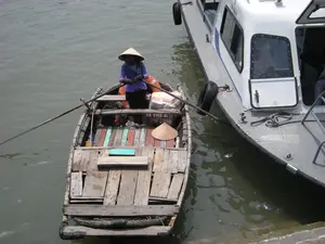 Trên mạn chiếc thuyền gỗ nhỏ có ghi dòng chữ "QN-0155-HL". Bức ảnh chụp cảnh trên mặt nước, có thể là ở Vịnh Hạ Long. Một người phụ nữ đang chèo một chiếc thuyền gỗ nhỏ (ghe) áp sát vào một chiếc tàu du lịch lớn hơn, màu trắng. Người phụ nữ mặc áo tím, quàng khăn và đội nón lá, đang điều khiển mái chèo. Chiếc thuyền gỗ trông đã cũ, trên sàn có những tấm ván được sơn màu sắc khác nhau. Trên thuyền còn có một chiếc nón lá khác, một chiếc phao cứu sinh màu cam. Hoạt động này mô tả cảnh sinh hoạt của người dân địa phương, có thể là một người bán hàng rong đang tiếp cận tàu du lịch để bán đồ.。（日本語訳）。小さな木造船の船べりには「QN-0155-HL」という文字が書かれている。写真は水上の光景を撮影したもので、おそらくハロン湾だろう。一人の女性が小さな木造船（ゲ）を漕いで、より大きな白い遊覧船に近づいている。女性は紫色の服を着て、スカーフを巻き、ノンラーをかぶり、オールを操作している。木造船は古びて見え、床には異なる色で塗られた板がある。船の上にはもう一つのノンラーと、オレンジ色の救命浮き輪がある。この活動は地元の人々の生活風景を描写しており、おそらく物売りが遊覧船に近づいて商品を売ろうとしているのだろう。