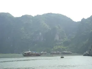 Trên thân một chiếc tàu du lịch lớn có dòng chữ 'BÁI TỬ LONG JUNK'. Bối cảnh là một vịnh biển, có thể là Vịnh Hạ Long, với nhiều hòn đảo đá vôi hùng vĩ được bao phủ bởi cây xanh rậm rạp trong làn sương mờ. Trên mặt nước có nhiều tàu thuyền đang hoạt động. Nổi bật là một chiếc tàu du lịch lớn bằng gỗ (thuyền buồm kiểu cổ) đang chở khách tham quan. Ở phía xa, một nhóm các tàu du lịch khác đang neo đậu gần một hòn đảo. Một chiếc thuyền máy nhỏ cũng đang di chuyển trên vịnh. Toàn bộ khung cảnh cho thấy đây là một hoạt động du lịch, tham quan cảnh quan trên biển.。（日本語訳）。大きな観光船の船体には「BÁI TỬ LONG JUNK」という文字がある。背景は、おそらくハロン湾と思われる湾で、薄霧の中に、緑豊かな木々で覆われた雄大な石灰岩の島々が数多くある。水上では多くの船が活動している。目立っているのは、観光客を乗せている大きな木造の観光船（伝統的なジャンク船）である。遠くには、別の観光船の一団が島の近くに停泊している。小さなモーターボートも湾内を移動している。全体の光景は、これが海上での観光、景観鑑賞活動であることを示している。