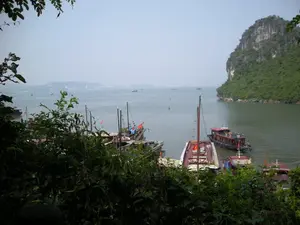 Bức ảnh chụp một khung cảnh trên Vịnh Hạ Long, nhìn từ trên cao qua những tán lá cây. Ở trung tâm và phía trước là một cụm tàu du lịch bằng gỗ đang neo đậu trên mặt nước. Một số tàu có mái màu đỏ, một số có mái màu trắng, và nhiều tàu cắm cờ Việt Nam. Đây là những chiếc tàu lớn (Tàu) dùng để chở khách tham quan vịnh. Bên phải là một hòn đảo đá vôi hùng vĩ, được cây cối xanh tươi bao phủ. Mặt nước vịnh phẳng lặng, có màu xanh lục. Ở phía xa, qua làn sương mờ, có thể thấy hình bóng của thành phố. Hoạt động chính diễn ra là các tàu thuyền du lịch đang hoạt động hoặc neo đậu, chờ phục vụ du khách. Trên thân một số tàu có chữ viết, có lẽ là tên tàu, nhưng không thể đọc rõ chi tiết.。（日本語訳）。写真はハロン湾の風景を写したもので、木々の葉越しに上から見たものである。中央と手前には、水面に停泊している木造の観光船の一団がある。いくつかの船は赤い屋根、いくつかは白い屋根で、多くの船がベトナムの国旗を掲げている。これらは湾を観光する客を乗せるための大きな船（Tàu）である。右側には、青々とした木々に覆われた雄大な石灰岩の島がある。湾の水面は穏やかで、緑色をしている。行われている主な活動は、観光船が運航または停泊し、観光客を待っていることである。いくつかの船の船体には文字が書かれているが、おそらく船名だと思われるが、詳細ははっきりと読み取れない。