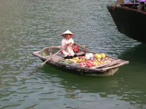 Một người phụ nữ đội nón lá đang chèo một chiếc thuyền gỗ nhỏ (ghe) trên mặt nước, có thể là một vịnh hoặc một khu vực sông nước rộng lớn. Đây là một cảnh bán hàng rong trên sông nước, một hình thức của chợ nổi. Trên thuyền, nhiều loại trái cây được bày bán, bao gồm chuối, thanh long (quả màu hồng), và các loại quả tròn màu vàng (có thể là bưởi). Các mặt hàng được sắp xếp gọn gàng trên một mặt phẳng gỗ trên thuyền để mời chào khách hàng, có khả năng là khách du lịch trên các tàu lớn hơn. Ở phía sau, có thể thấy mũi của một chiếc tàu lớn màu sẫm. Không có văn bản hay chữ viết nào có thể đọc được trong hình ảnh.。（日本語訳）。ノンラーをかぶった一人の女性が、水面で小さな木製の船（ゲ）を漕いでいる。場所は湾か、あるいは広大な水郷地帯のようである。これは水上での物売りの光景であり、水上マーケットの一形態である。船の上では、バナナ、ドラゴンフルーツ（ピンク色の果物）、そして黄色い丸い果物（おそらくザボン）など、多くの種類の果物が並べられて売られている。商品は、船の上の木製の平面にきちんと並べられ、おそらくはより大きな船に乗っている観光客であろう客に提供されている。画像の中には、読み取れるテキストや文字はない。