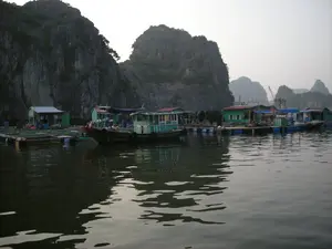 Bối cảnh là một làng chài nổi trên mặt nước, có thể là ở Vịnh Hạ Long, được bao quanh bởi những ngọn núi đá vôi hùng vĩ. Nhiều ngôi nhà nổi được xây dựng trên các hệ thống phao và thùng phuy nhựa màu xanh. Các ngôi nhà có kết cấu đơn giản, thường được làm bằng gỗ và lợp mái tôn, sơn các màu như xanh lá cây và xanh dương. Xung quanh các ngôi nhà là những lồng bè lớn hình chữ nhật dùng để nuôi trồng thủy sản, chủ yếu là nuôi cá. Ở trung tâm bức ảnh, có một chiếc ghe gỗ với cabin nhỏ đang neo đậu. Có thể thấy một vài người dân đang sinh hoạt và làm việc trên các bè nổi. Mặt nước phẳng lặng, phản chiếu hình ảnh của những ngôi nhà và núi non. Không có văn bản hay chữ viết nào có thể đọc được trong ảnh.。（日本語訳）。背景は水上の漁村で、おそらくハロン湾にあり、雄大な石灰岩の山々に囲まれています。多くの水上家屋は、浮き輪と青いプラスチック製のドラム缶のシステムの上に建てられています。家々はシンプルな構造で、通常は木でできており、トタン屋根で覆われ、緑や青などの色で塗られています。家々の周りには、水産養殖、主に魚の養殖に使われる大きな長方形のいかだがあります。写真の中央には、小さな船室付きの木造船が停泊しています。何人かの住民が水上のいかだの上で生活し、働いているのが見えます。水面は穏やかで、家々と山々の姿を映しています。写真の中には、読み取れるテキストや文字はありません。