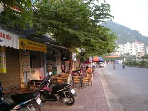 Bối cảnh là một con đường ven biển, có thể ở khu vực Hạ Long, với những ngọn núi đá vôi đặc trưng ở phía sau. Bên trái đường là một dãy các cửa hàng, nhà hàng và nhà nghỉ. Trên vỉa hè, dưới bóng một cây xanh lớn, có nhiều bộ bàn ghế bằng mây và nhựa được bày ra cho khách ngồi. Một người đàn ông cởi trần đang đứng cạnh bàn và một người phụ nữ đội mũ hồng đang ngồi. Một số xe máy được đỗ trên vỉa hè. Dưới lòng đường, có vài người đang đi xe máy và một chiếc xe buýt ở phía xa. Các biển hiệu có thể đọc được bao gồm: "NHÀ NGHỈ THÁI BẢO", "CƠM PHỞ BÌNH DÂN - HẢI SẢN TƯƠI SỐNG", "SPECIAL SEAFOOD AND VEGETARIAN FOOD", và một biển hiệu dọc ghi "BÁN SỮA DUY NHẤT TẠI CÁT BÀ" cùng số điện thoại "0313888589". Khung cảnh cho thấy hoạt động kinh doanh dịch vụ ăn uống và lưu trú tại một địa điểm du lịch.。（日本語訳）。背景は海岸沿いの道で、おそらくハロン湾地域でしょう。後ろには特徴的な石灰岩の山々が見えます。道の左側には、商店、レストラン、ゲストハウスが並んでいます。歩道には、大きな緑の木陰の下に、客が座るための籐製やプラスチック製のテーブルと椅子のセットが多数並べられています。上半身裸の男性がテーブルのそばに立っており、ピンクの帽子をかぶった女性が座っています。数台のバイクが歩道に停められています。車道では、数人がバイクに乗っており、遠くにはバスが1台見えます。読み取れる看板には、「NHÀ NGHỈ THÁI BẢO（タイバオ・ゲストハウス）」、「CƠM PHỞ BÌNH DÂN - HẢI SẢN TƯƠI SỐNG（大衆食堂 - 新鮮な海産物）」、「SPECIAL SEAFOOD AND VEGETARIAN FOOD（特製シーフードとベジタリアン料理）」、そして縦書きの看板には「BÁN SỮA DUY NHẤT TẠI CÁT BÀ（カットバで唯一の牛乳販売）」と電話番号「0313888589」が書かれています。この光景は、ある観光地での飲食および宿泊サービスの営業活動を示しています。