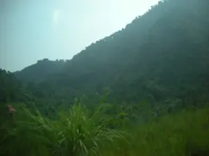 Bức ảnh chụp một khung cảnh vùng đồi núi với thảm thực vật xanh tươi, rậm rạp. Bầu trời mờ ảo, có thể do sương mù. Ở tiền cảnh là những bụi cỏ cao. Phía sau là một dãy núi được bao phủ hoàn toàn bởi cây cối. Phía bên trái của sườn núi, có thể thấy một công trình kiến trúc nhỏ, có thể là một ngôi nhà hoặc một ngôi chùa. Không có bất kỳ văn bản hay hoạt động nào của con người được ghi nhận trong ảnh.。（日本語訳）。写真は、青々として鬱蒼とした植物が生い茂る丘陵地帯の風景を写しています。空は霞んでおり、霧がかかっている可能性があります。前景には背の高い草むらがあります。その後ろには、完全に木々で覆われた山脈があります。山腹の左側には、家か寺院と思われる小さな建造物が見えます。写真には、いかなる文字や人間の活動も記録されていません。