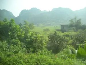 Bức ảnh chụp một khung cảnh nông thôn đặc trưng ở Việt Nam, có thể là khu vực gần Hạ Long. Tiền cảnh là rất nhiều cây cối và bụi rậm xanh tươi rậm rạp, một số chi tiết ở dưới cùng bị mờ do chuyển động, cho thấy ảnh có thể được chụp từ một phương tiện đang di chuyển. Ở giữa là một cánh đồng lúa xanh mướt trải rộng. Giữa những lùm cây, có một ngôi nhà bê tông khoảng hai tầng, mái bằng. Phía xa là những dãy núi đá vôi trùng điệp, mờ ảo trong sương mù hoặc không khí ẩm, tạo nên một khung cảnh hùng vĩ. Không có người nào xuất hiện trong ảnh, nhưng sự hiện diện của cánh đồng lúa cho thấy đây là khu vực có hoạt động nông nghiệp, cụ thể là trồng lúa. Không có bất kỳ chữ viết, biển báo hay văn bản nào có thể đọc được.。（日本語訳）。写真はベトナムの典型的な田園風景を写しており、おそらくハロン湾近郊の地域であろう。前景には青々と生い茂る多くの木々や茂みがあり、下部の一部のディテールは動きによってぼやけていることから、写真が移動中の乗り物から撮影された可能性があることがわかる。中央には、青々とした水田が広がっている。木々の間には、2階建てほどの陸屋根のコンクリート造りの家が1軒ある。遠方には、石灰岩の山々が連なり、霧や湿った空気で霞んでおり、雄大な景色を作り出している。写真には誰も写っていないが、水田があることから、ここが農業、具体的には稲作が行われている地域であることがわかる。読み取れる文字、看板、あるいは文章は一切ない。