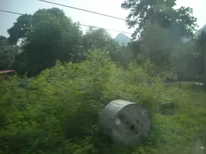 Bức ảnh chụp một phong cảnh ven đường, có vẻ như được chụp từ một phương tiện đang di chuyển, vì phần tiền cảnh bị mờ do chuyển động. Cảnh vật chủ yếu là cây cối và bụi rậm xanh tươi. Ở tiền cảnh, một cuộn cáp lớn rỗng, có thể bằng gỗ hoặc kim loại, bị bỏ lại và nằm nghiêng trên bãi cỏ. Phía trên có các đường dây điện chạy ngang qua khung hình. Ở phía sau là những lùm cây rậm rạp hơn và bóng mờ của một ngọn núi ở phía xa. Một phần mái nhà màu đỏ của một công trình nào đó lấp ló sau lùm cây ở bên trái. Không có hoạt động của con người và không có chữ viết hay biển báo nào có thể đọc được trong ảnh.。（日本語訳）。写真は道端の風景を撮影したもので、前景が動きによってぼやけているため、移動中の乗り物から撮影されたようです。景色は主に青々とした木々や茂みです。前景には、木製か金属製と思われる大きな空のケーブルドラムが、草の上に放置され、傾いて置かれています。その上には電線がフレームを横切って走っています。後方には、より密集した木々の茂みと、遠くにある山のぼんやりとした影があります。左側の茂みの後ろから、何らかの建物の赤い屋根の一部が覗いています。写真には人の活動は見られず、読み取れる文字や標識もありません。