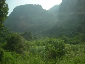 Bức ảnh chụp một khung cảnh thiên nhiên vùng núi. Ở phía sau là những ngọn núi đá vôi cao, được bao phủ bởi cây cối xanh tươi. Có một lớp sương mù mỏng bao phủ các đỉnh núi, tạo ra một không gian mờ ảo. Tiền cảnh là một thảm thực vật rậm rạp với nhiều loại cây và bụi cây khác nhau. Có thể thấy một vài đường dây điện chạy ngang qua khung cảnh. Không có người, công trình kiến trúc hay hoạt động cụ thể nào được nhìn thấy trong ảnh. Không có văn bản nào có thể đọc được.。（日本語訳）。写真は山岳地帯の自然の風景を写しています。背景には、青々とした木々に覆われた高い石灰岩の山々があります。薄い霧の層が山頂を覆い、幻想的な空間を作り出しています。前景には、さまざまな種類の木々や低木が生い茂る植物が広がっています。風景を横切る数本の電線が見えます。写真には、人物、建造物、または特定の活動は見られません。読み取れるテキストはありません。