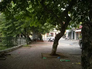 Bối cảnh là một vỉa hè rợp bóng cây trên một con phố, có thể là ở Hà Nội. Vỉa hè được lát bằng gạch con sâu và có nhiều cây xanh lớn tỏa bóng mát. Dọc theo mép vỉa hè là một hàng rào lan can bằng sắt màu đen, cho thấy nó có thể nằm cạnh một bờ hồ hoặc công viên. Một người lớn tuổi đang ngồi trên ghế trên vỉa hè để nghỉ ngơi. Dưới lòng đường, có một vài chiếc xe máy và ô tô đang đỗ. Phía đối diện là một dãy nhà phố liền kề với các cửa hàng ở tầng trệt. Các cửa hàng có mái hiên và một số có treo đèn lồng đỏ. Có các biển hiệu cửa hàng với nhiều màu sắc khác nhau nhưng chữ viết trên đó bị mờ và không thể đọc rõ. Trên vỉa hè có một ít rác như túi ni lông và giấy vụn.。（日本語訳）。背景は、ハノイと思われる、ある通りの木陰に覆われた歩道です。歩道はインターロッキングブロックで舗装されており、涼しい木陰を作る大きな緑の木がたくさんあります。歩道の端に沿って黒い鉄製の手すりの柵があり、湖畔か公園の隣にある可能性を示唆しています。一人の高齢者が歩道のベンチに座って休んでいます。路上には、数台のバイクと車が駐車しています。向かい側には、1階に店舗が入った長屋が並んでいます。店舗には日よけがあり、いくつかには赤い提灯が吊るされています。様々な色の店の看板がありますが、そこに書かれた文字はぼやけていてはっきりと読むことはできません。歩道には、ビニール袋や紙くずなどのゴミが少しあります。