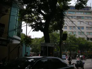 Đây là hình ảnh một góc phố tại Hà Nội. Khung cảnh bao gồm các tòa nhà nhiều tầng, cây xanh và đường phố. Một đặc điểm dễ nhận thấy là mạng lưới dây điện và cáp viễn thông chằng chịt vắt ngang qua các tòa nhà và cột điện.。Ở tiền cảnh bên trái là một phần của chiếc ô tô màu đen. Ở giữa, dưới tán lá rậm rạp của một cây lớn, có một bốt điện thoại công cộng. Trên bốt điện thoại có thể nhận ra dòng chữ 'ĐIỆN THOẠI' và 'VIỆT NAM'.。Phía sau là một tòa nhà lớn, có vẻ là một văn phòng hoặc khách sạn, với nhiều cửa sổ. Trên nóc tòa nhà có một biển hiệu nhưng chữ bị che khuất và khó đọc. Bên trái là một tòa nhà khác được sơn màu xanh lam.。Trên đường phố, có một vài người đang đi bộ và nhiều người đang đi xe máy. Có một người đang đẩy một chiếc xe thô sơ chở đầy hàng hóa. Cảnh vật thể hiện một nhịp sống đô thị đặc trưng.。（日本語訳）。これはハノイのある街角の写真です。風景には、多層階の建物、緑の木々、そして通りが含まれています。容易に見て取れる特徴は、建物や電柱を横切って張り巡らされた、複雑に絡み合った電線と通信ケーブルの網です。左前景には、黒い自動車の一部が見えます。中央には、大きな木の生い茂る葉の下に、公衆電話ボックスがあります。電話ボックスには「ĐIỆN THOẠI」と「VIỆT NAM」という文字が認識できます。建物の屋上には看板がありますが、文字は隠れていて読みにくいです。左側には、青色に塗られた別の建物があります。路上では、数人が歩いており、多くの人がバイクに乗っています。荷物を満載した手押し車を押している人が一人います。この光景は、特徴的な都市の生活リズムを表しています。