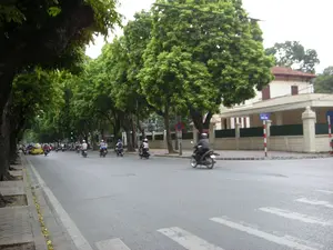 Bức ảnh chụp một con phố ở Hà Nội, với hai hàng cây cổ thụ xanh tươi rợp bóng mát. Có một biển báo tên đường màu xanh ghi chữ "PHỐ BẮC SƠN". Gần đó là một biển báo giao thông hình tròn cấm dừng hoặc đỗ xe. Trên đường nhựa có vạch kẻ cho người đi bộ, giao thông khá đông đúc với nhiều người đang đi xe máy và hầu hết đều đội mũ bảo hiểm. Một chiếc taxi màu vàng cũng đang di chuyển trên đường. Ở phía bên phải là một tòa nhà lớn, có kiến trúc kiểu biệt thự cổ, được bao quanh bởi hàng rào.。（日本語訳）。写真はハノイのある通りを写しており、そこには青々と茂り涼しい木陰を作る2列の古い並木があります。「PHỐ BẮC SƠN」（バックソン通り）と書かれた青い通りの名前の標識があります。その近くには、停車または駐車を禁止する丸い交通標識があります。アスファルトの道路には横断歩道があり、交通はかなり混雑していて、多くの人がバイクに乗っており、そのほとんどがヘルメットを着用しています。一台の黄色いタクシーも道路を走っています。右側には、古いヴィラ風の建築様式の大きな建物があり、柵で囲まれています。