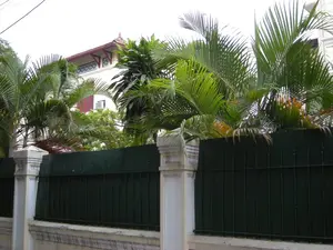 Bức ảnh chụp một khung cảnh nhìn qua một hàng rào vào một khu vườn và một tòa nhà. Ở phía trước là một hàng rào kiên cố, bao gồm các trụ cột bằng bê tông màu trắng và phần lan can bằng sắt sơn màu xanh đậm. Phía sau hàng rào, những tán cây cọ và các loại cây lá xanh khác mọc um tùm, che khuất một phần tầm nhìn. Lấp ló sau những tán cây là một phần của một tòa nhà lớn, có khả năng là một biệt thự mang phong cách kiến trúc thuộc địa. Tòa nhà này có tường màu trắng, mái ngói đỏ, và các chi tiết trang trí kiến trúc dưới mái. Một cửa sổ với cửa chớp màu đỏ và một cục nóng điều hòa cũng có thể được nhìn thấy. Phía trên cùng của bức ảnh có các đường dây điện vắt ngang qua bầu trời.。（日本語訳）。写真は、柵越しに庭と建物を見た風景を写しています。手前には頑丈な柵があり、白いコンクリートの柱と濃い緑色に塗られた鉄製の手すりで構成されています。柵の後ろには、ヤシの木やその他の緑葉植物が生い茂り、視界の一部を遮っています。木々の後ろから、大きな建物の一部が垣間見え、おそらく植民地時代の建築様式の別荘でしょう。この建物は白い壁、赤い瓦屋根、そして屋根の下に建築装飾のディテールがあります。赤い鎧戸の窓とエアコンの室外機も見えます。写真の最上部には、空を横切る電線があります。