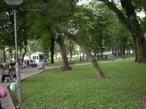 Bức ảnh chụp một khung cảnh trong một công viên công cộng ở Hà Nội. Không gian rất xanh mát với nhiều cây cổ thụ và một bãi cỏ rộng. Một con đường đi bộ lát gạch chạy dọc theo công viên, nơi có nhiều người đang thư giãn. Mọi người đang ngồi trên ghế đá, đi dạo hoặc trò chuyện với nhau. Có một số xe máy và xe đạp đậu gần đó. Ở phía sau, có một công trình nhỏ màu trắng giống như một ki-ốt hoặc trạm gác. Xa hơn nữa, một nhóm người đang ngồi dưới một chiếc ô lớn. Khung cảnh cho thấy một hoạt động sinh hoạt cộng đồng yên bình và thư thái.。（日本語訳）。ハノイのある公共の公園の風景を撮影した写真です。空間は多くの古木と広い芝生で、とても緑豊かで涼しげです。公園に沿ってレンガ敷きの遊歩道が続いており、そこでは多くの人々がくつろいでいます。人々は石のベンチに座ったり、散歩したり、お互いに会話したりしています。近くには数台のバイクや自転車が停められています。後方には、キオスクか警備所のような小さな白い建物があります。さらに遠くでは、大きな傘の下に座っている人々のグループがいます。この光景は、平和でリラックスしたコミュニティの日常活動を示しています。