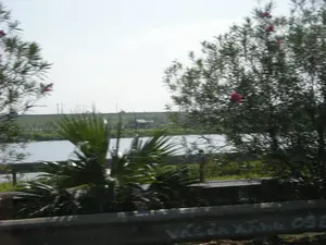 Bức ảnh được chụp từ một phương tiện đang di chuyển, ghi lại khung cảnh nông thôn ven đường. Ở tiền cảnh, có một hộ lan bằng kim loại, trên đó có dòng chữ viết tay 'VÁ SỬA XĂNG 098...'. Đây có thể là quảng cáo cho dịch vụ sửa chữa xe và bán xăng. Phía sau hộ lan là các bụi cây xanh, bao gồm một bụi cây có hoa màu hồng (giống cây trúc đào). Một con sông hoặc kênh nước nằm ở giữa bức ảnh. Bên kia bờ sông là một con đê và xa hơn là một cánh đồng rộng lớn, có thể là ruộng lúa. Vài ngôi nhà và cột điện thấp thoáng ở phía xa. Khung cảnh cho thấy một vùng nông thôn điển hình ở Việt Nam.。（日本語訳）。この写真は移動中の乗り物から撮影されたもので、道端の田園風景を記録しています。前景には金属製のガードレールがあり、その上には「VÁ SỬA XĂNG 098...」という手書きの文字があります。これは車両修理とガソリン販売サービスの広告である可能性があります。ガードレールの後ろには緑の茂みがあり、その中にはピンク色の花が咲いている茂み（キョウチクトウに似た植物）も含まれています。写真の中央には川または水路が流れています。川の対岸には堤防があり、さらにその先には広大な畑が広がっていますが、これは水田である可能性があります。遠くにはいくつかの家と電柱がかすかに見えます。この風景はベトナムの典型的な田舎の地域を示しています。